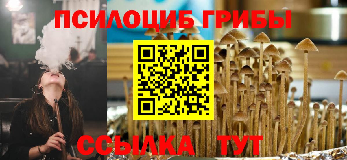 Псилоцибиновые грибы Cubensis Кулебаки