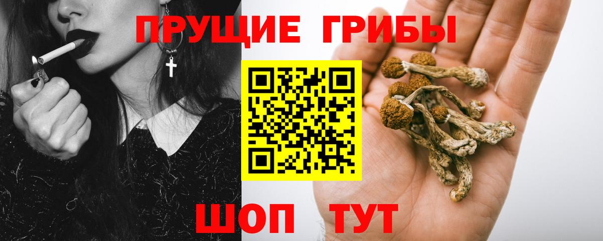Псилоцибиновые грибы мухоморы Кулебаки