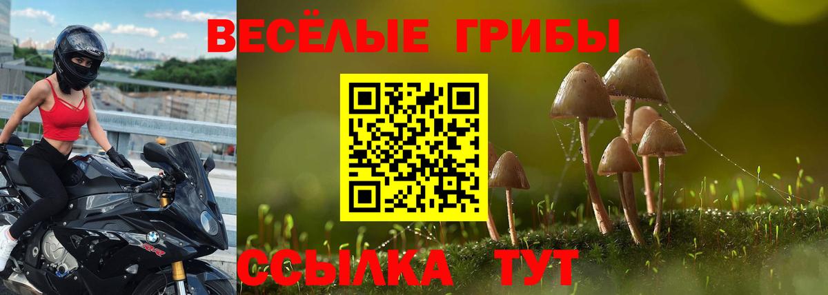 Кулебаки  Галлюциногенные грибы Magic Shrooms  Галлюциногенные грибы Psilocybe  Вход с VPN 